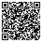 扫描二维码下载神行太保web版安卓版